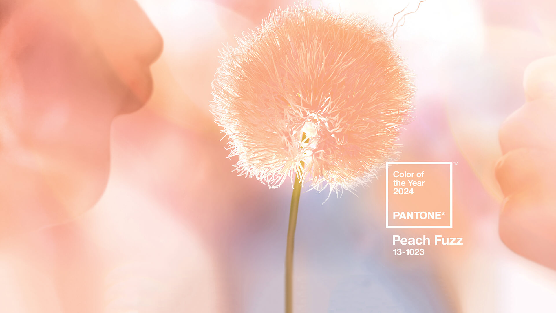 Pantone: To peach fuzz είναι το χρώμα του 2024 – Πώς θα το εντάξουμε στις εμφανίσεις μας 3