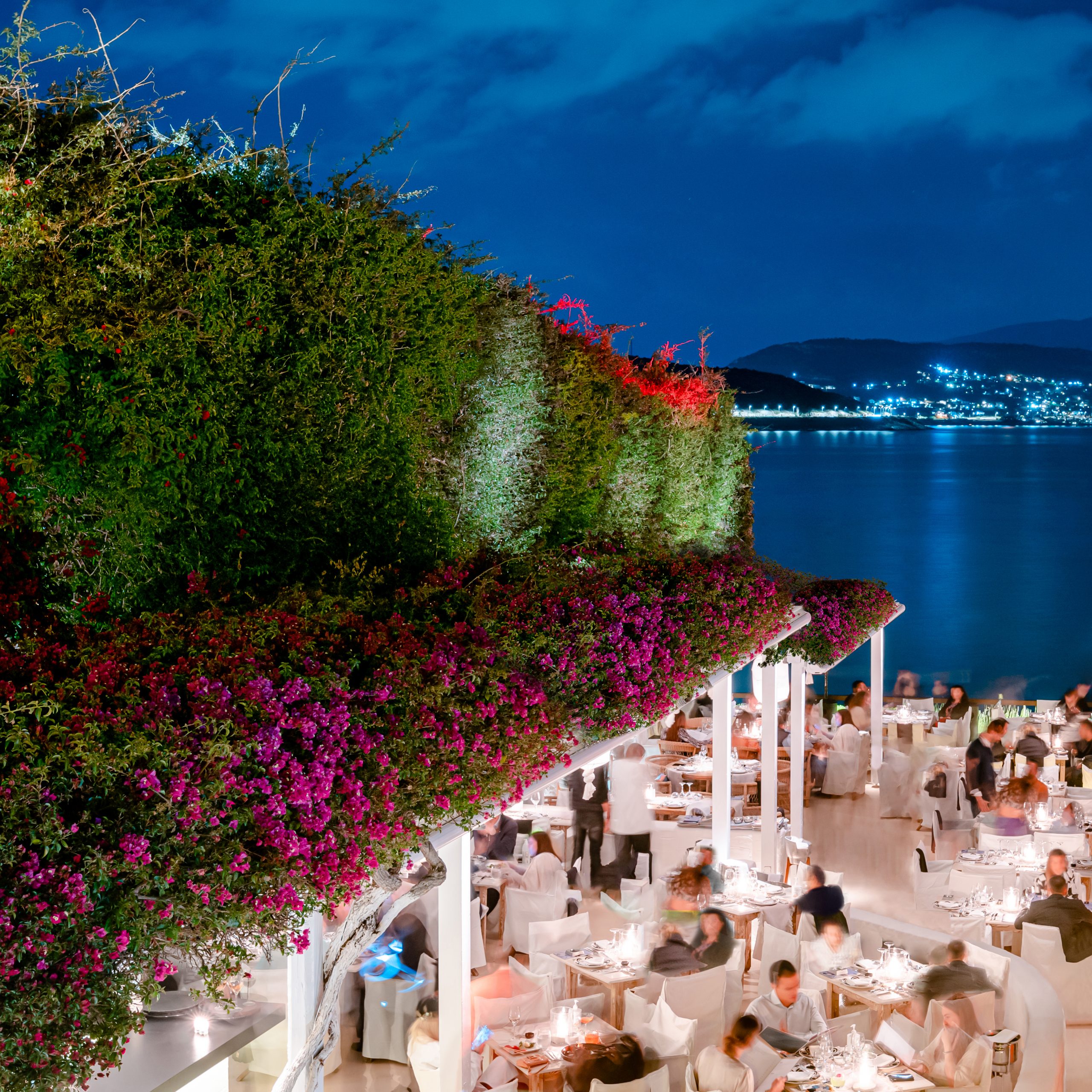 Το εμβληματικό Island Club Restaurant: Ένα σημείο αναφοράς στην αθηναϊκή ριβιέρα 2