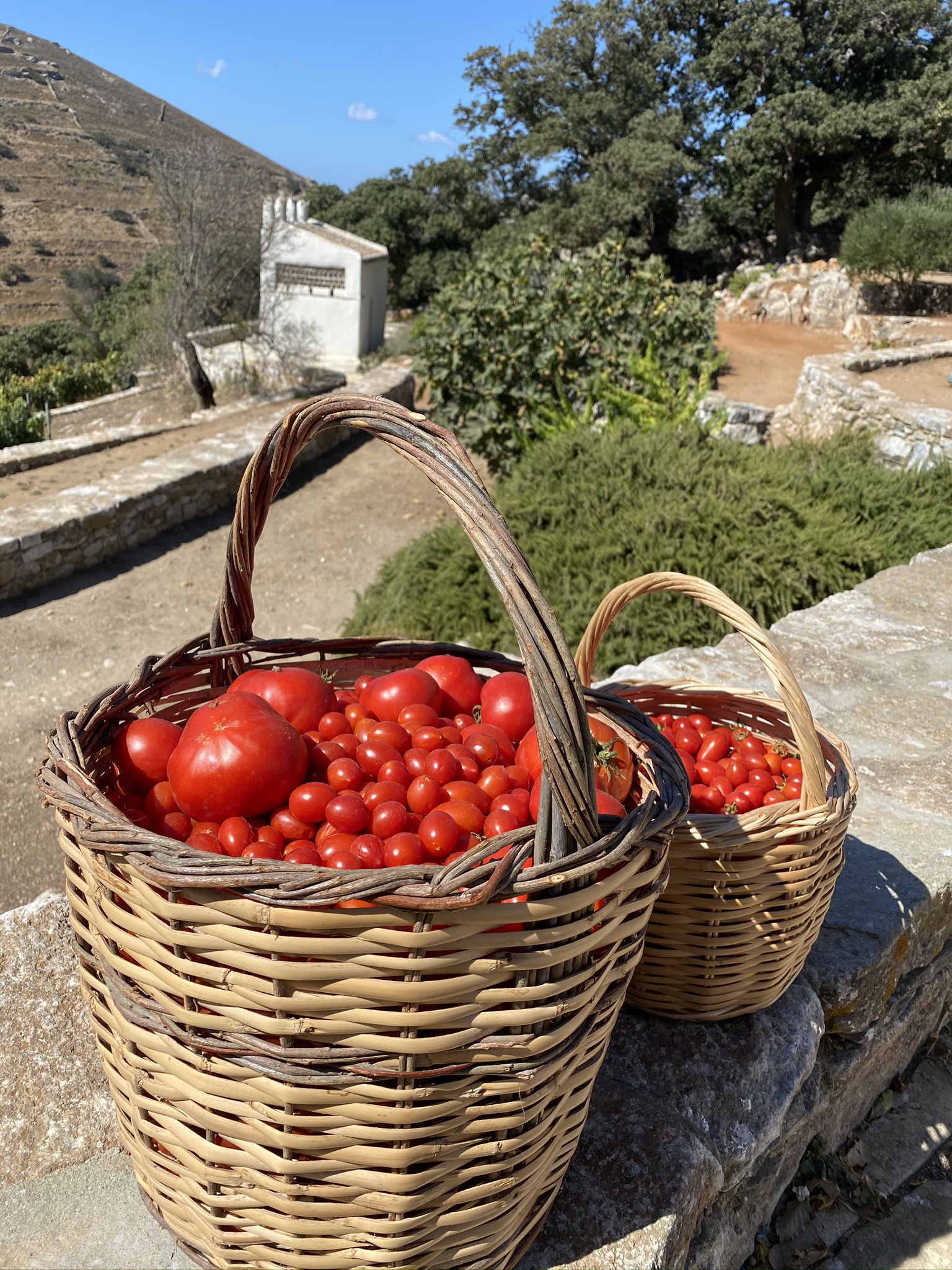 Η Μάγια Τσόκλη μας ξεναγεί στον ευλογημένο τόπο που λέγεται Τήνος 6