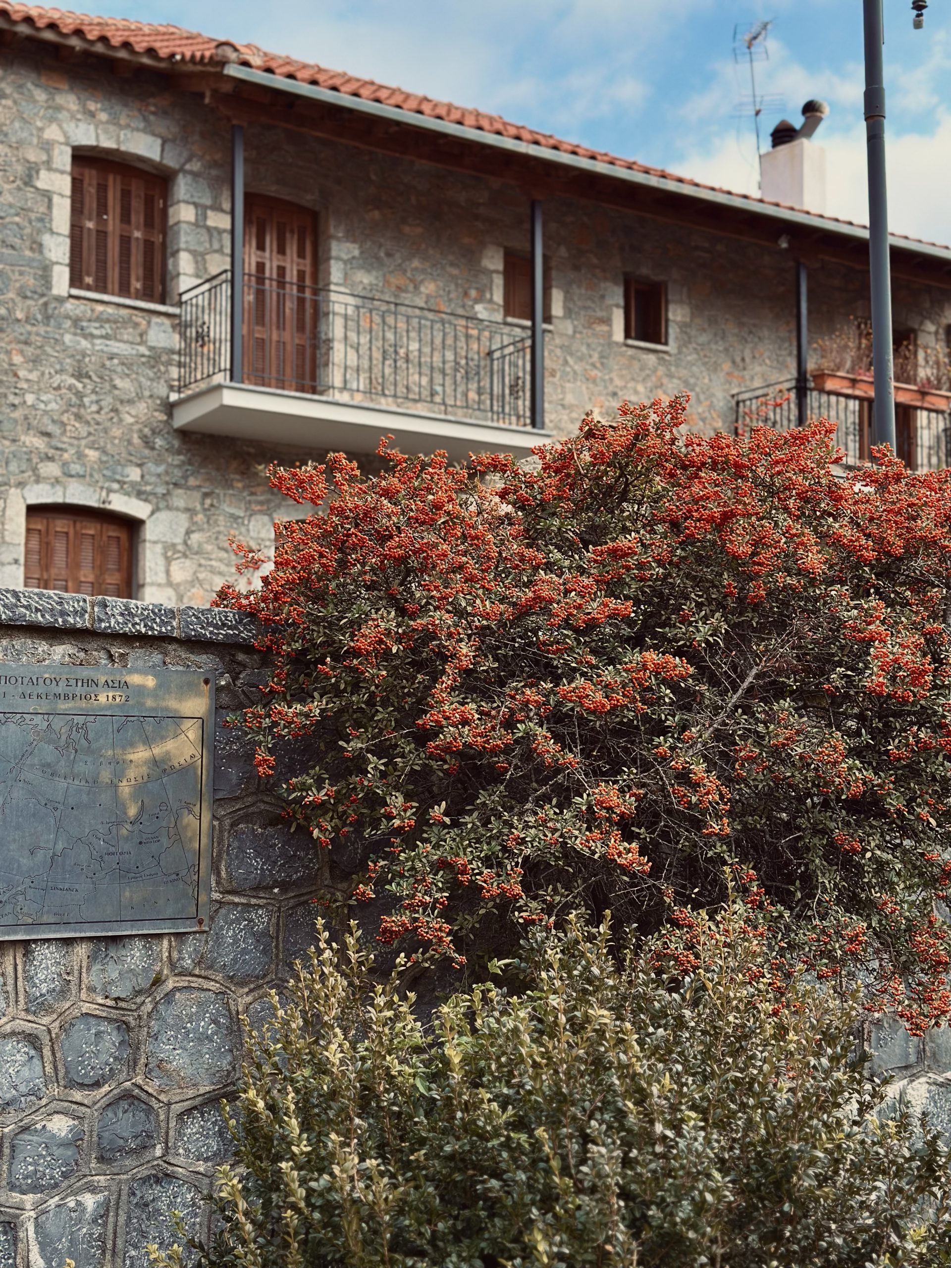 24 ώρες στην Ορεινή Αρκαδία για ιππασία στο δάσος και κρέας στα κάρβουνα 2