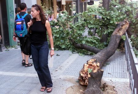 Πλέον των 350 κλήσεων έχει δεχθεί η Πυροσβεστική για πτώσεις δέντρων στην Αττική