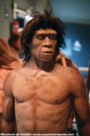 Ο Homo erectus «εφηύρε» τον λόγο και έτσι μπόρεσε να ταξιδέψει
