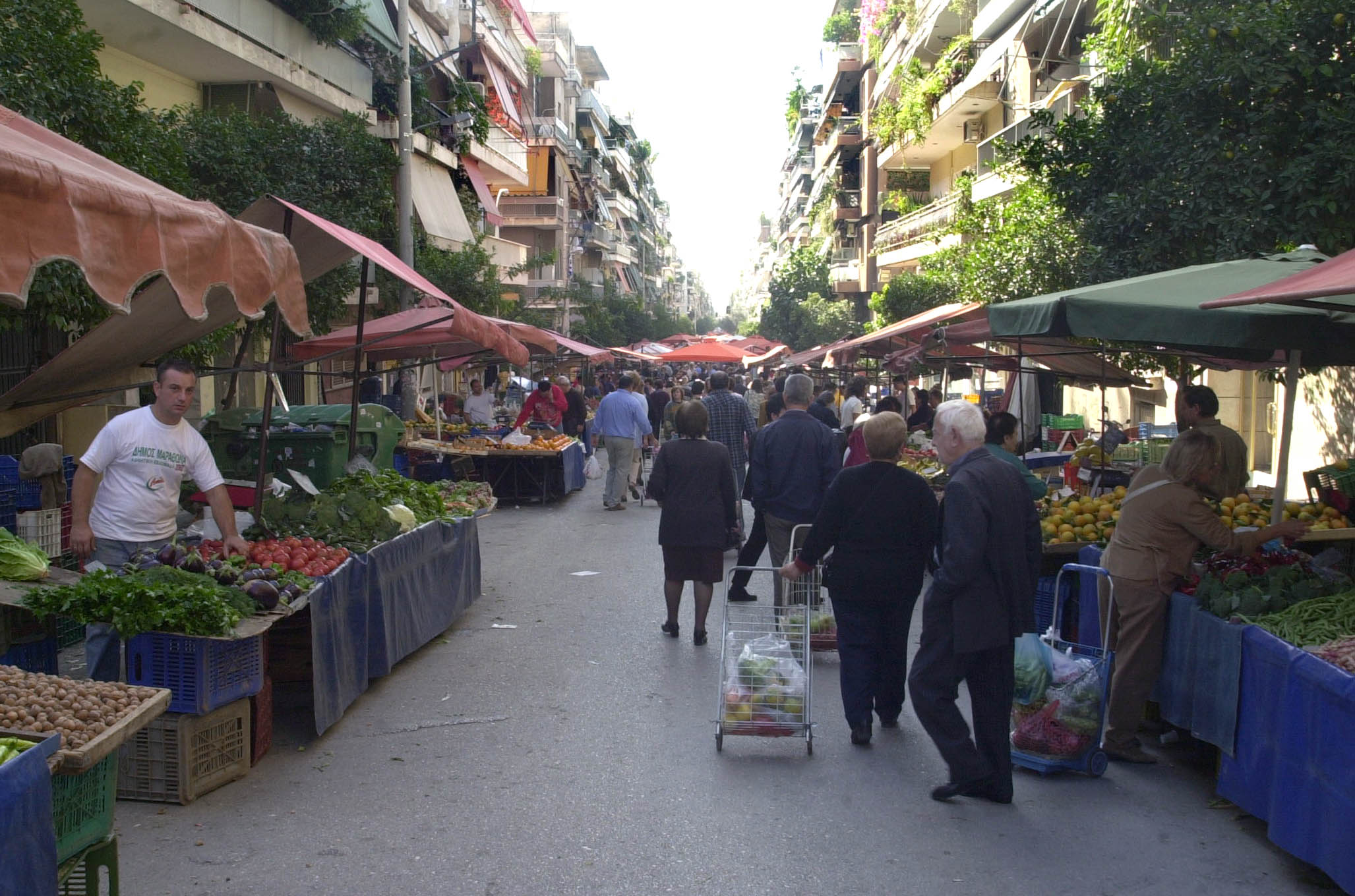 Δεν έχουν εισαχθεί «ύποπτα» λαχανικά στην Ελλάδα
