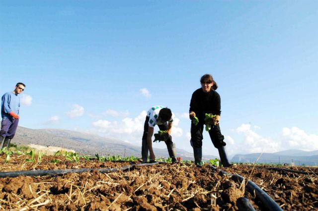 Πρόγραμμα απασχόλησης για 445 άνεργους επιστήμονες