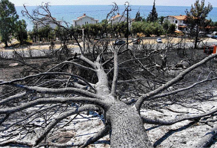 Οι ελληνικές αγκυλώσεις και οι σύγχρονες αντιλήψεις