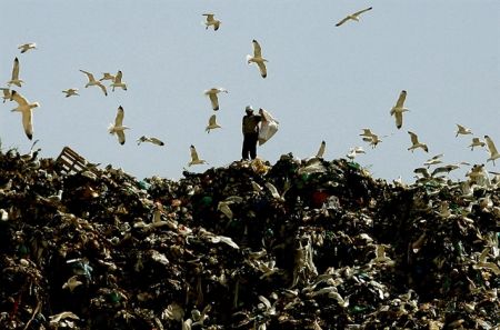 Η «επανάσταση» των ρακοσυλλεκτών της Τουρκίας