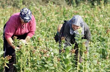 Την έντονη αντίδρασή τους στα νέα δημοσιονομικά μέτρα εκφράζουν οι αγρότες