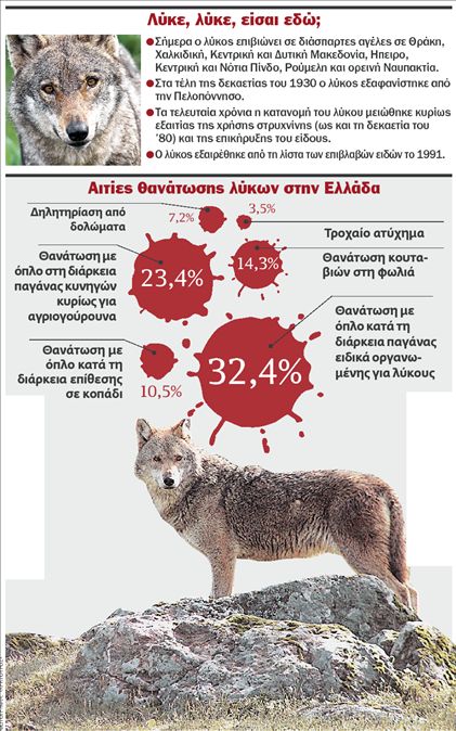 Ο «κακός λύκος» περνάει δύσκολες στιγμές