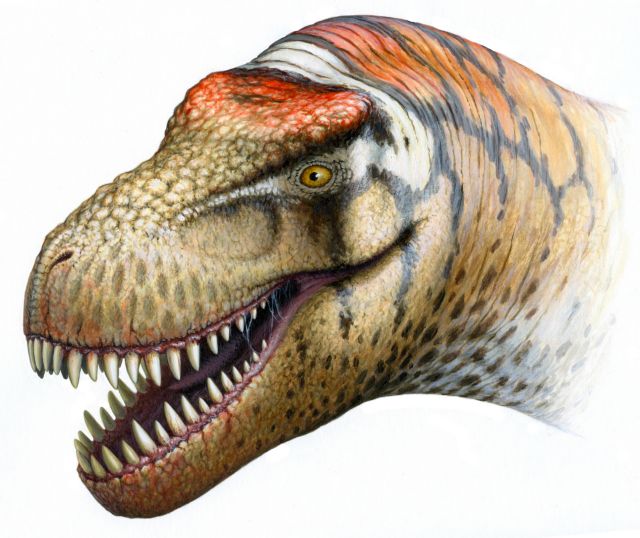 Ανακαλύφθηκε ο ξάδερφος του T.Rex