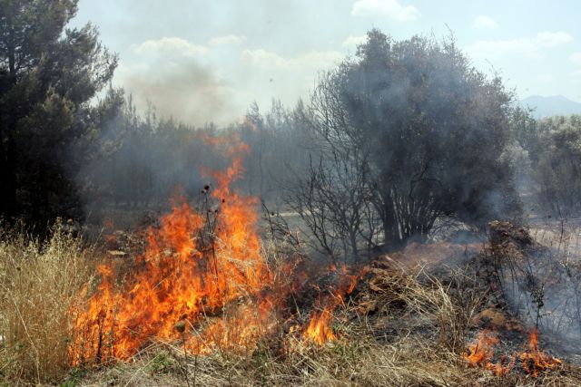 Σε εξέλιξη βρίσκεται πυρκαγιά στην περιοχή του Βαρνάβα