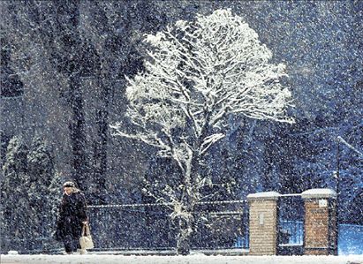 Παρέλυσε από το βαρύ κρύο η Ευρώπη