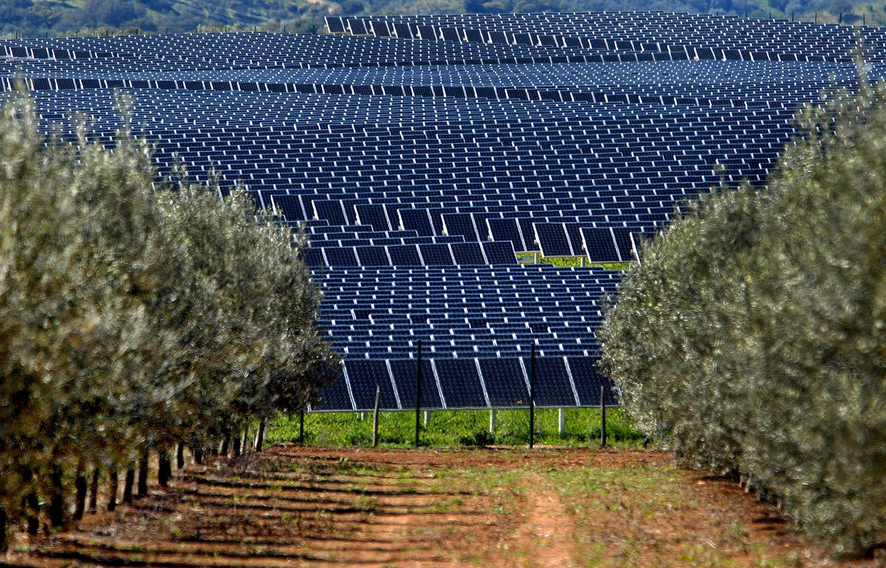 Φωτοβολταϊκό πάρκο στον Μελιγαλά από την Κυριακούλης