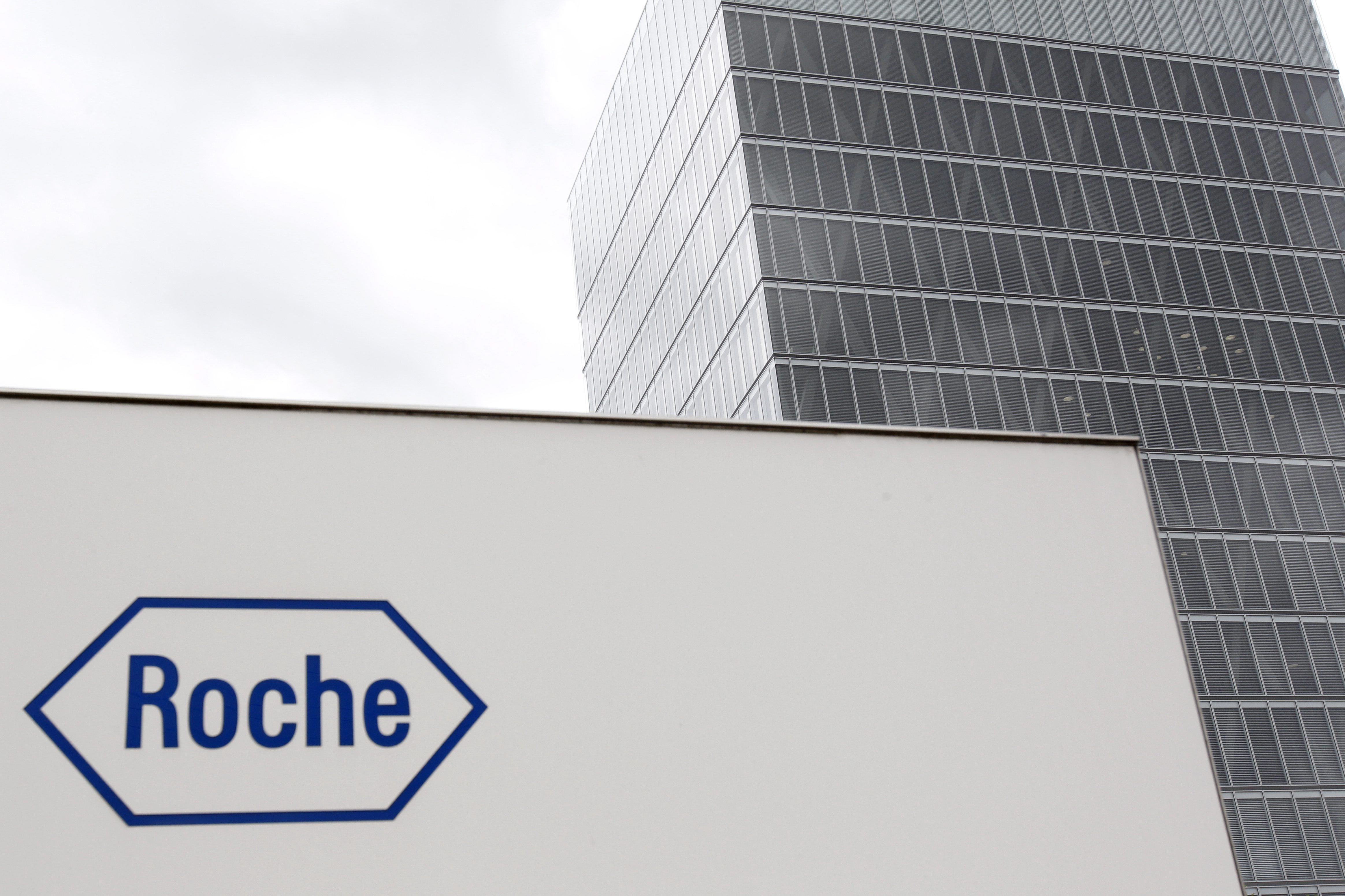 Roche holding