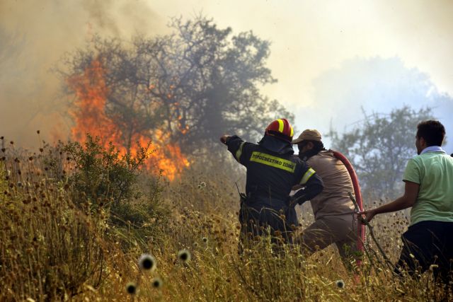 Ελλάδα: Καίγονται μισό εκατομμύριο στρέμματα τον χρόνο!