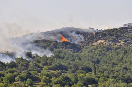 Υπό πλήρη έλεγχο η φωτιά σε αγροτική περιοχή στη Μόρια