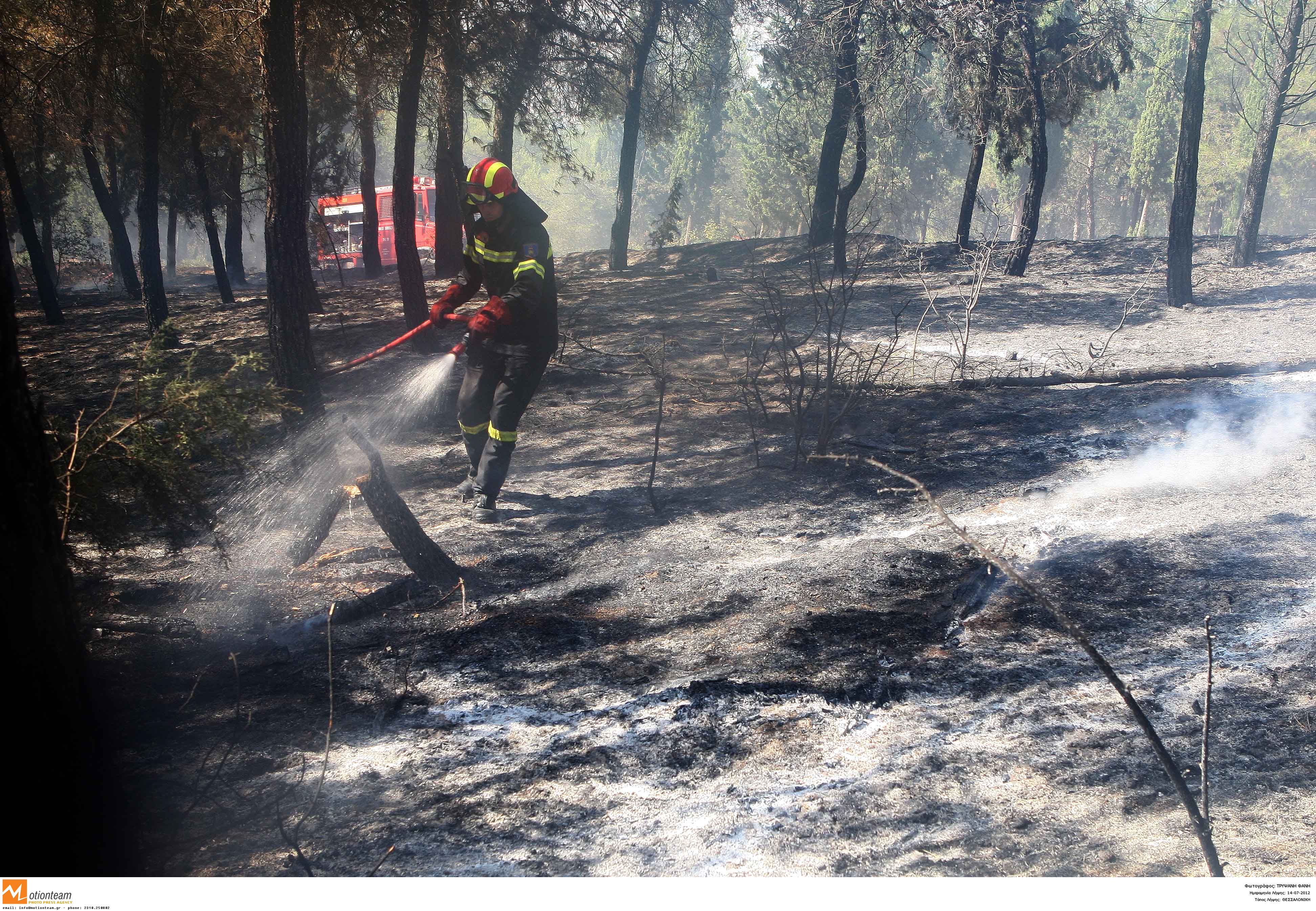 Αναδασωτέες όλες οι καμένες εκτάσεις, με εγκύκλιο Σ.Φάμελλου