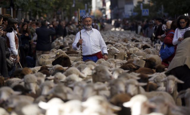 Την Τρίτη θα πληρωθούν οι κτηνοτρόφοι