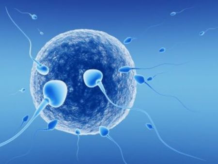 Εφτιαξαν ανθρώπινα ωάρια στο εργαστήριο για θεραπείες γονιμότητας