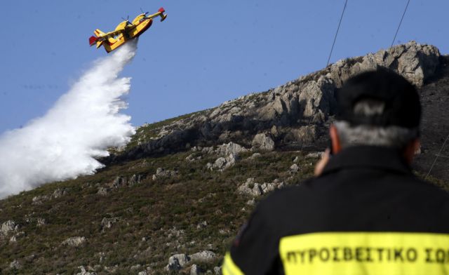 Στο μισό μειώθηκαν οι καμένες εκτάσεις εφέτος το καλοκαίρι