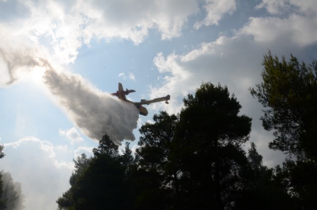 Πυρκαγιά στην τοποθεσία «Λαγόμανδρα» της Χαλκιδική