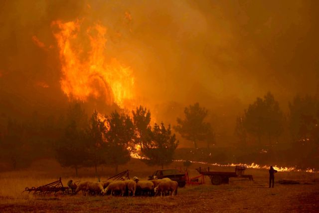 Υπό μερικό έλεγχο η φωτιά στον δήμο Πύλου