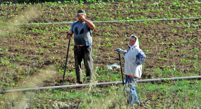 Ξεκινά η λειτουργία του Ταμείου Αγροτικής Επιχειρηματικότητας