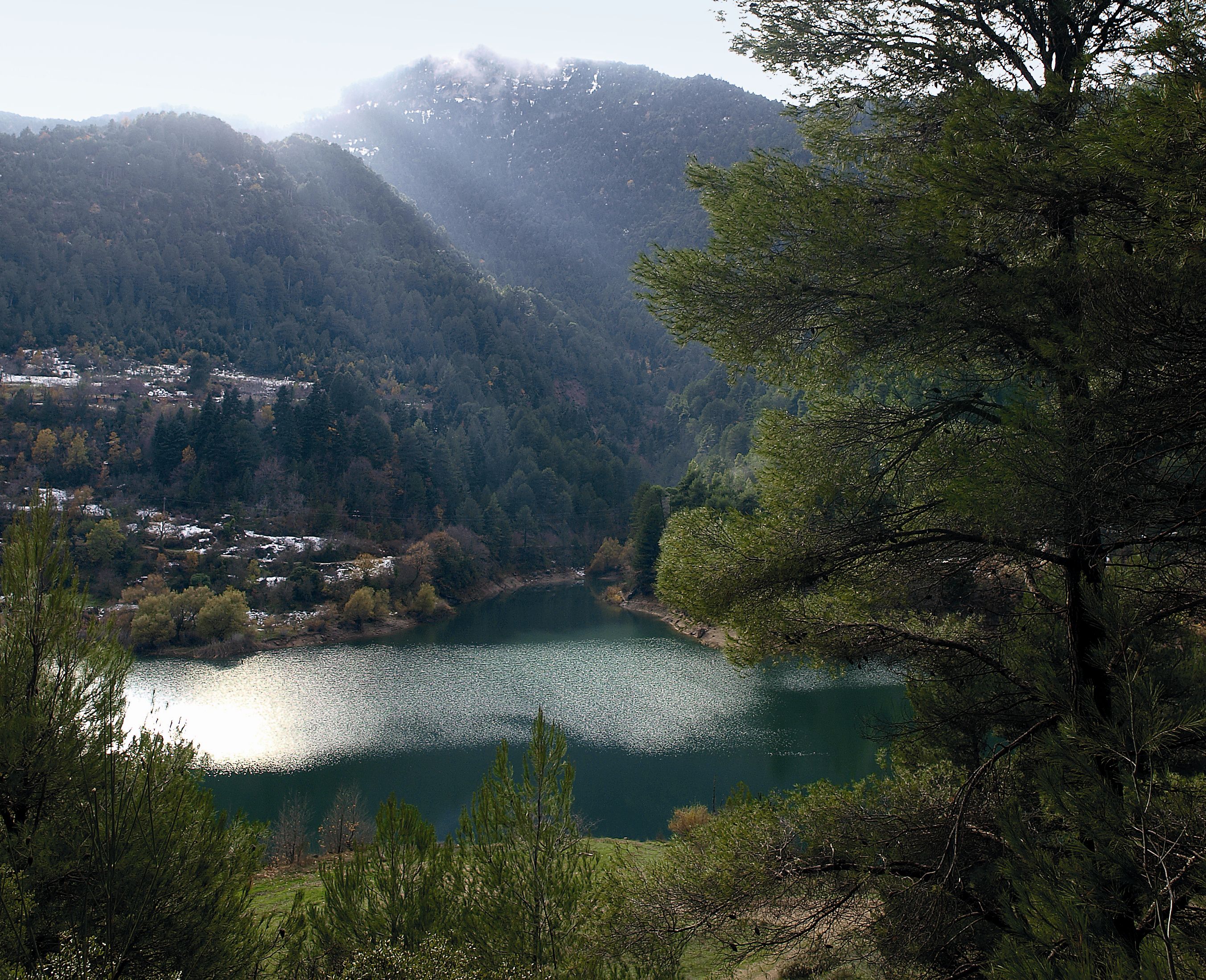 Γεύμα στη χλόη