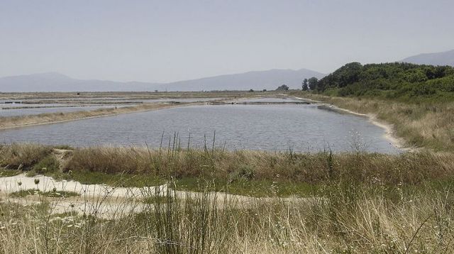 Πιερία: Τσιμέντο σε 4.000 στρέμματα Καταφυγίου Αγριας Ζωής