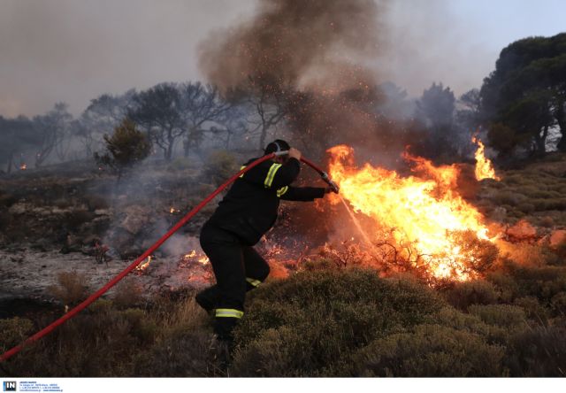 Περίπου πέντε χιλιάδες στρέμματα κάηκαν στη Κερατέα