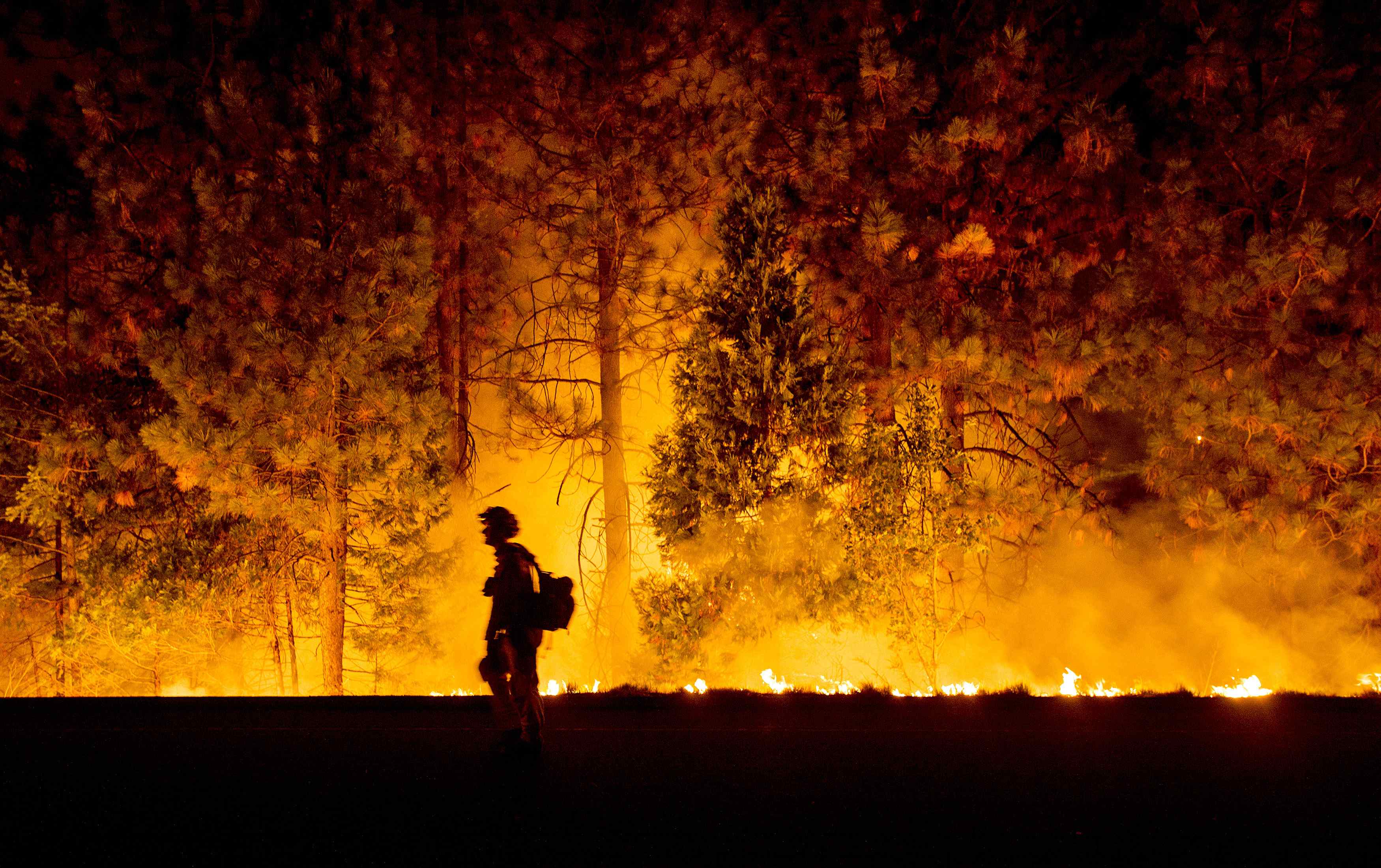 Огни пожарищ. Пожар в лесу. Красивый пожар. Ночной Лесной пожар. Лес в огне.