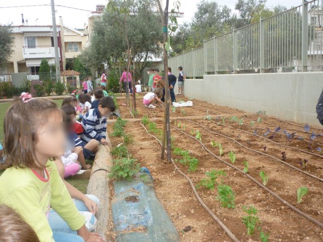 Εξι στους 10 Ελληνες «ψηφίζουν» αστικούς λαχανόκηπους