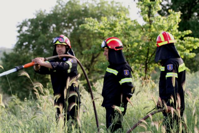 Εγκρίθηκαν προγράμματα 74 εκατ. ευρώ για δασοπροστασία