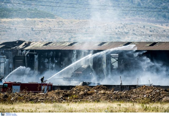 «Απολογία» Δούρου για τον χειρισμό της πυρκαγιάς στον Ασπρόπυργο