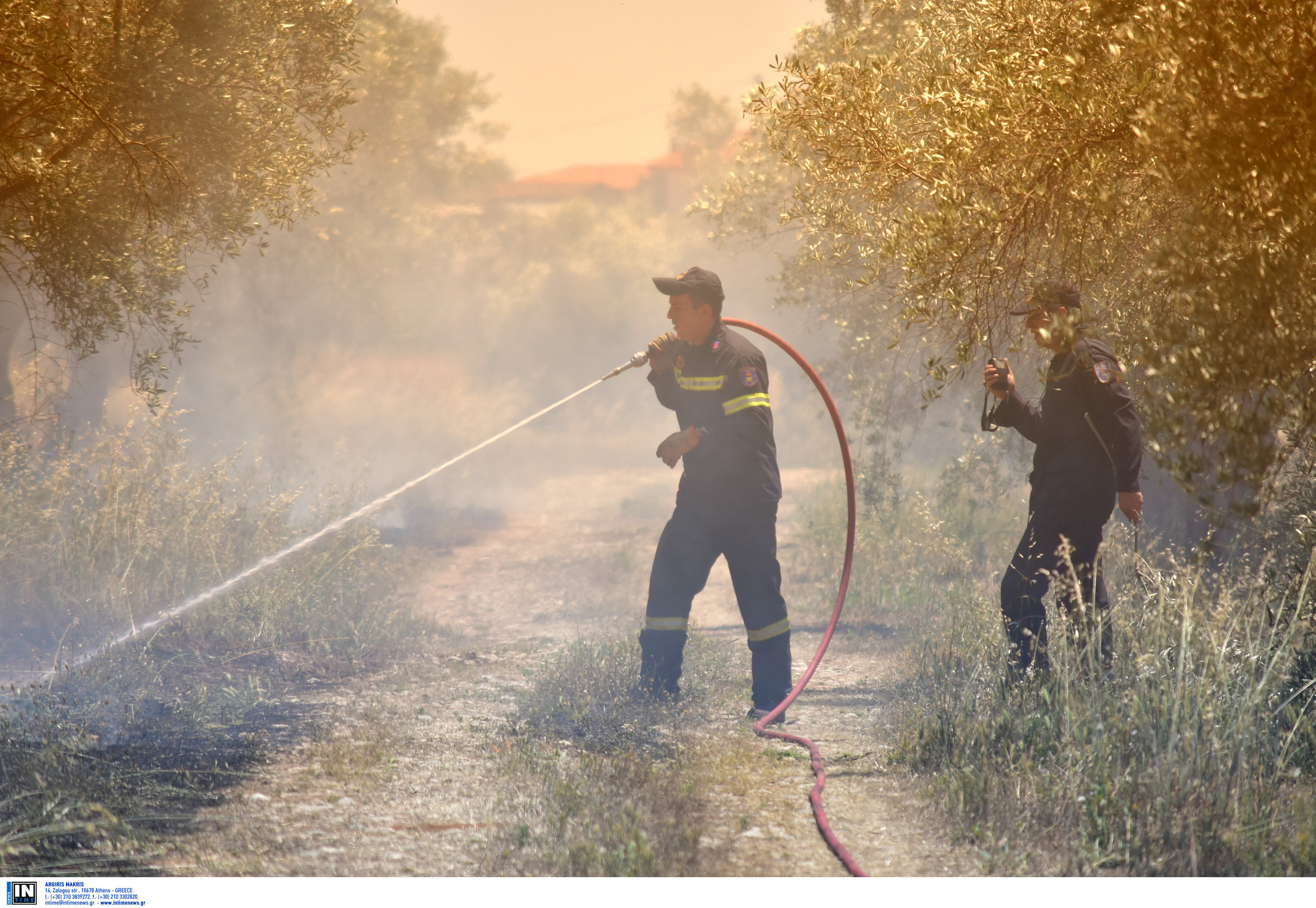 Σε πλήρη ύφεση η πυρκαγιά στη Χαλκιδική