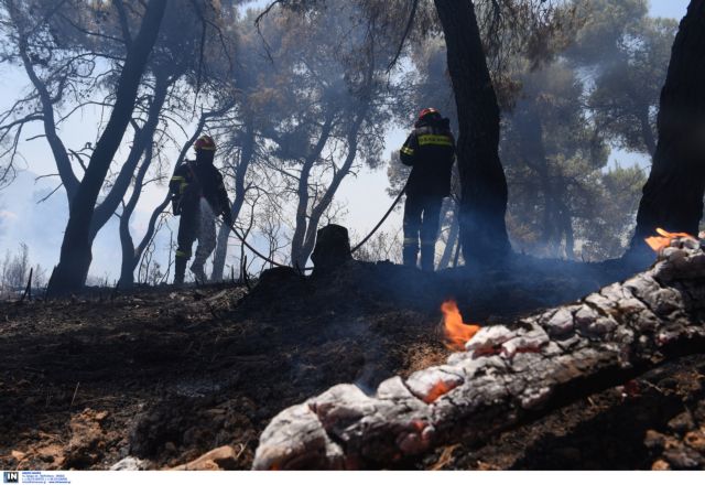 Σε ύφεση οι πυρκαγιές σε Ρόδο και Εύβοια