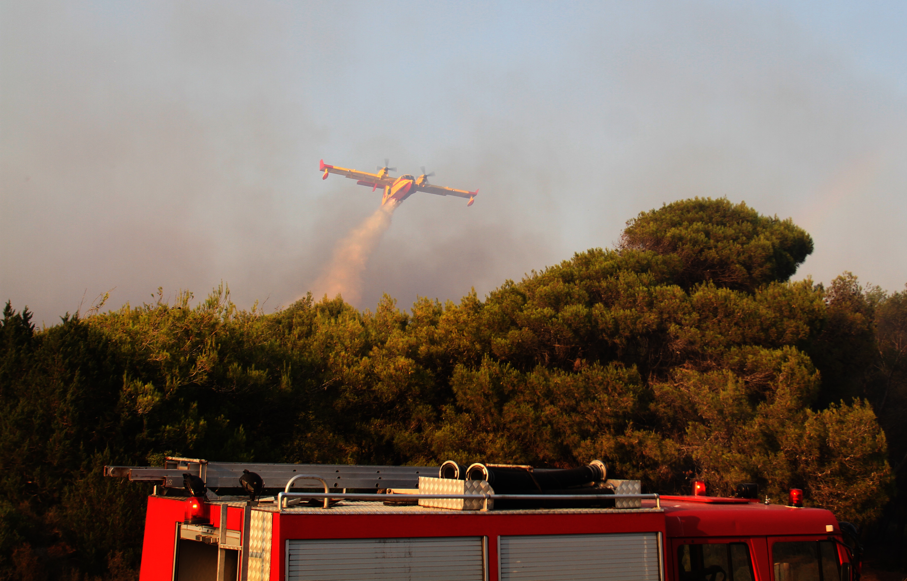 Στις φλόγες πευκοδάσος στα Δερβενοχώρια