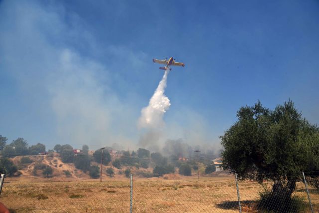 Πυρκαγιά κοντά στο χωριό Ανατολή της Ιεράπετρας Λασιθίου