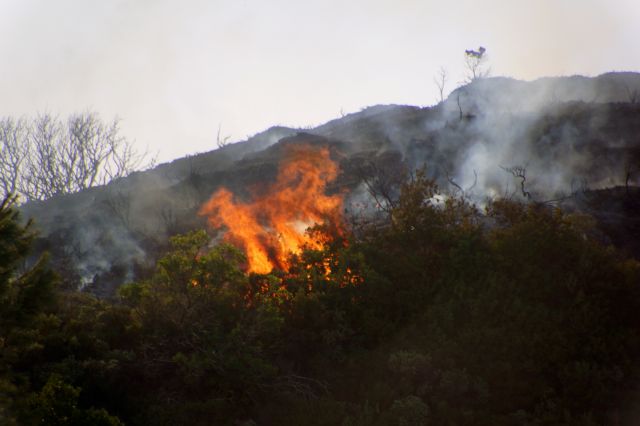 Χανιά: Σε εξέλιξη η φωτιά στα Σφακιά, στο πευκοδάσος της «Σελούδας»