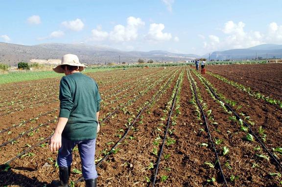 Συνεργασίες «Gaia Επιχειρείν» με μπόνους για τους αγρότες