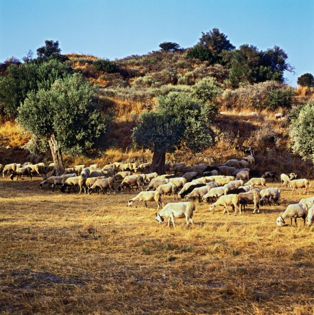 Κλειδί η μείωση του κόστους παραγωγής