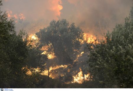 Παράταση πληρωμής φορολογικών υποχρεώσεων σε περιοχές της Εύβοιας