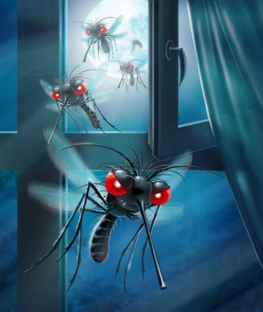 Κουνούπια: Πώς θα τα πολεμήσετε