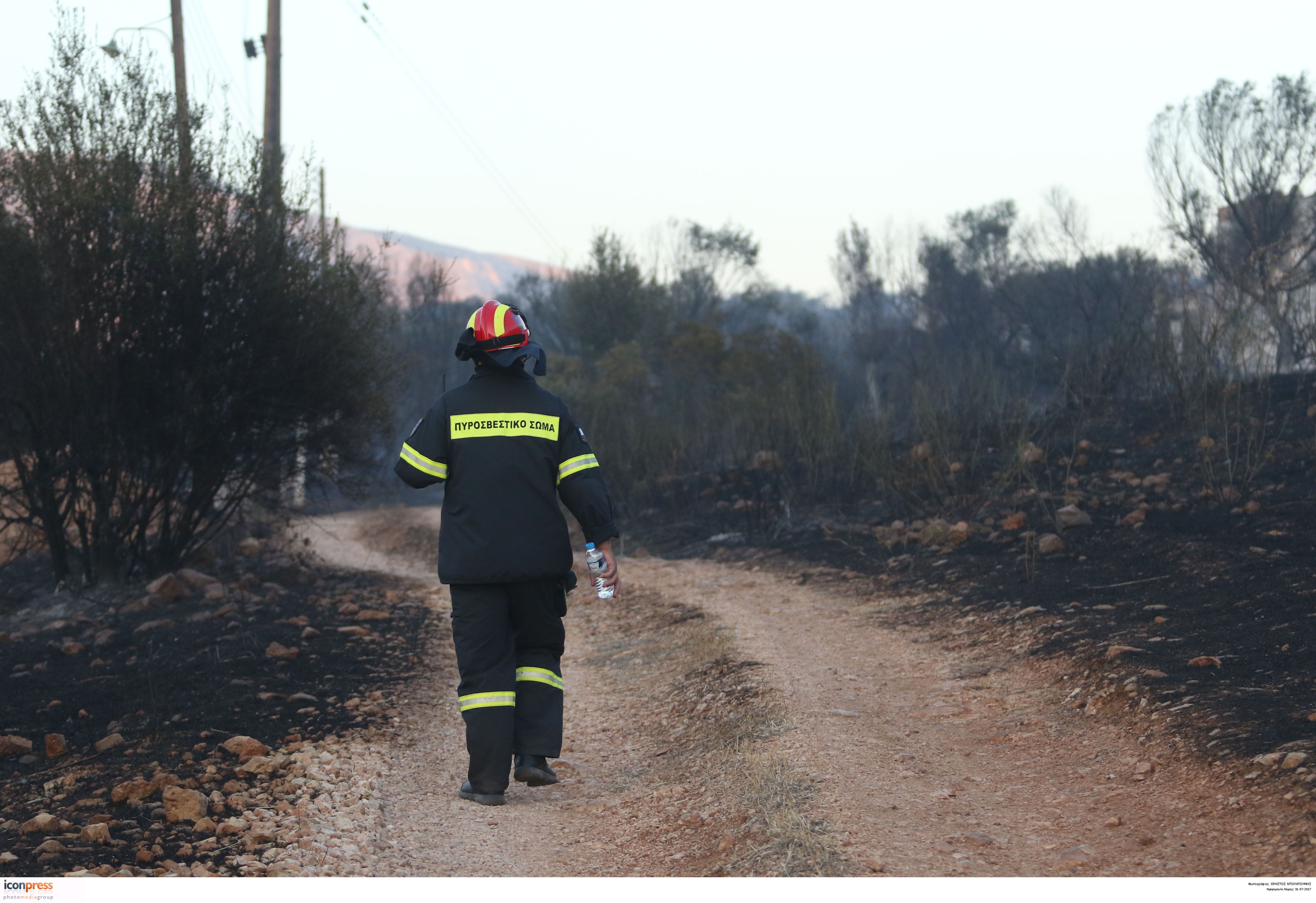 Νέα πυρκαγιά στην Ανάβυσσο, φωτιές σε Σπέτσες και Πύλο