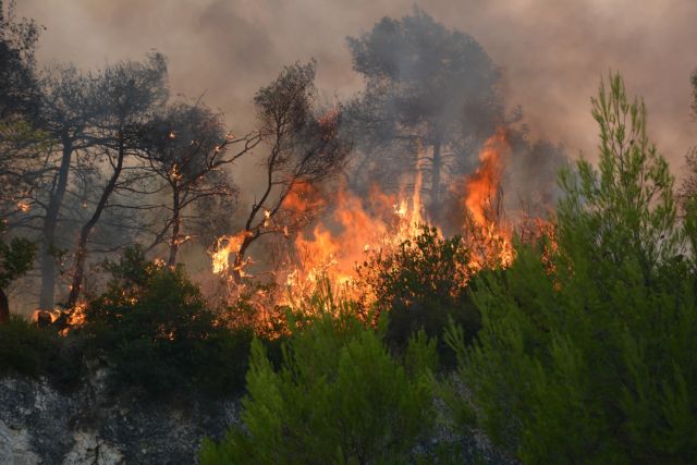 Οι δυνάμεις της Πυροσβεστικής ακόμα στη μάχη με τις φλόγες στην Zάκυνθο