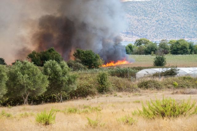 Υπό έλεγχο πυρκαγιά περιφερειακά της λίμνης Βιστωνίδας