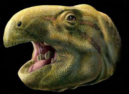 Ο… ψαλιδοδόντης δεινόσαυρος