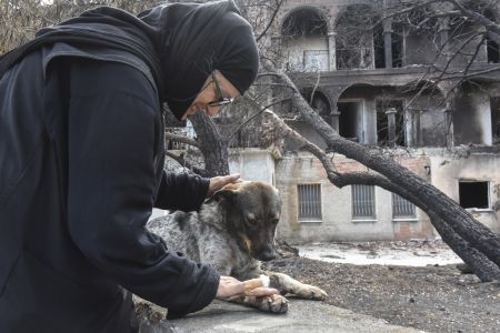 Οι έλληνες διεθνείς ποδοσφαιριστές ενισχύουν το Λύρειο Ίδρυμα