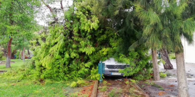 Κυκλώνας «Ζορμπάς»: Σαρωτικό  το πέρασμα του από τη Φθιώτιδα και την Εύβοια