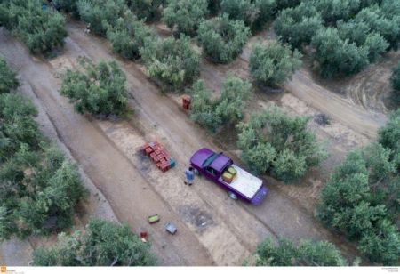 ΟΠΕΚΕΠΕ : Πληρώνονται οι αγροτικές επιδοτήσεις