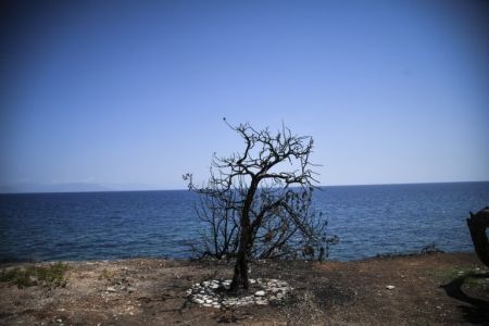 Η τραγωδία στο Μάτι, οι διώξεις και οι ανεύθυνοι